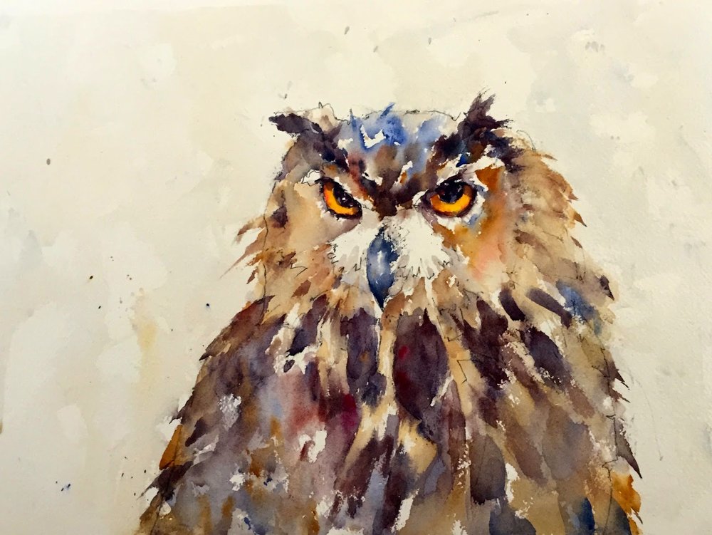 horned owl watercolor painting Michele Clamp