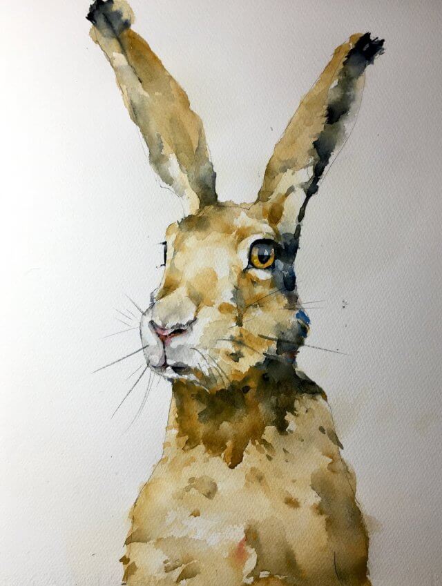 Hare watercolor painting by Michele Clamp