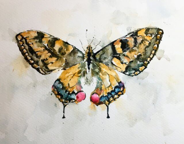 Swallowtail butterfly watercolor painting by Michele Clamp