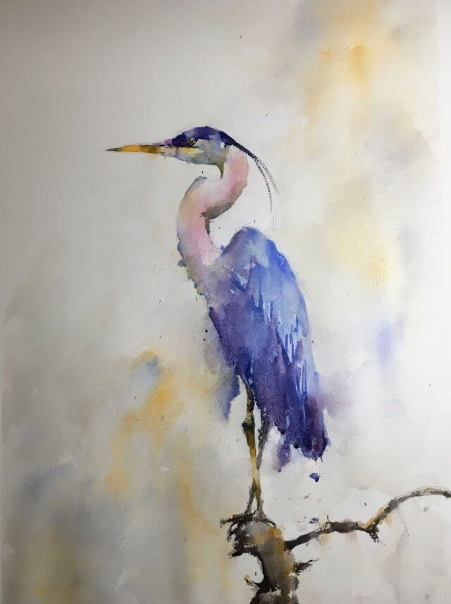 Blue heron watercolor painting by Michele Clamp