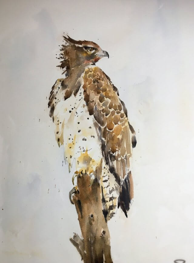Martial eagle watercolor painting by Michele Clamp