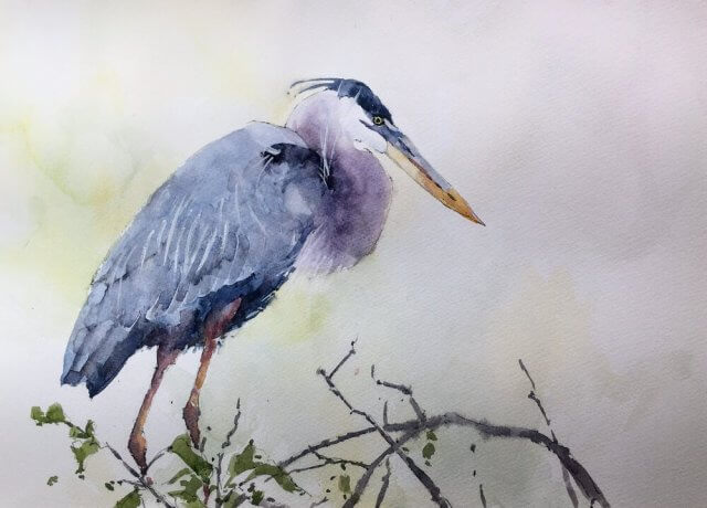 Blue Heron on branch watercolor painting by Michele Clamp