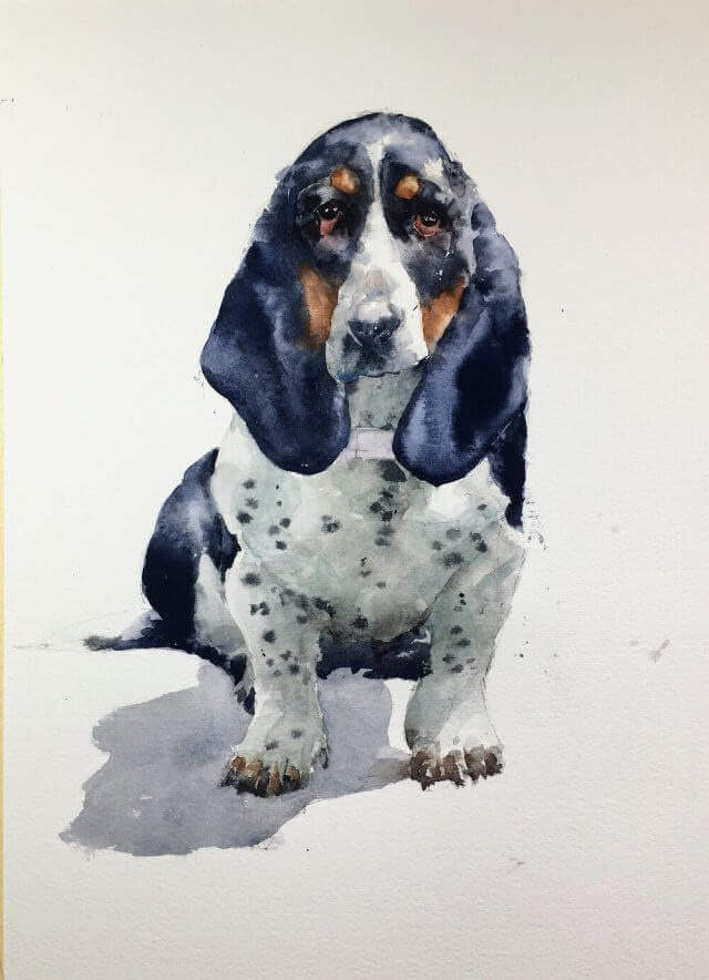 Basset hound dog watercolor painting by Michele Clamp