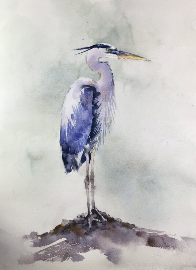 standing blue heron watercolor by Michele Clamp