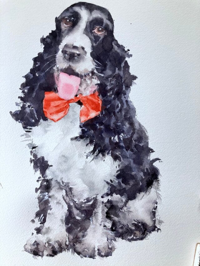 Dog Watercolor Painting – Spaniel