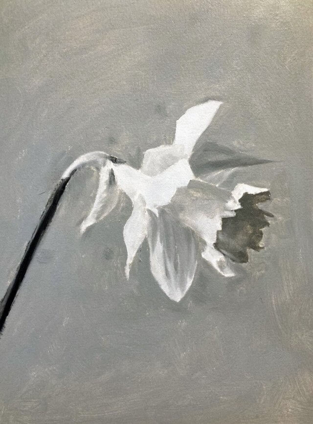 daffodil value study by Michele Clamp