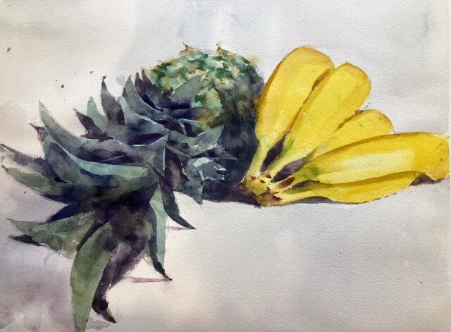 banana and pineapple watercolor painting by Michele Clamp