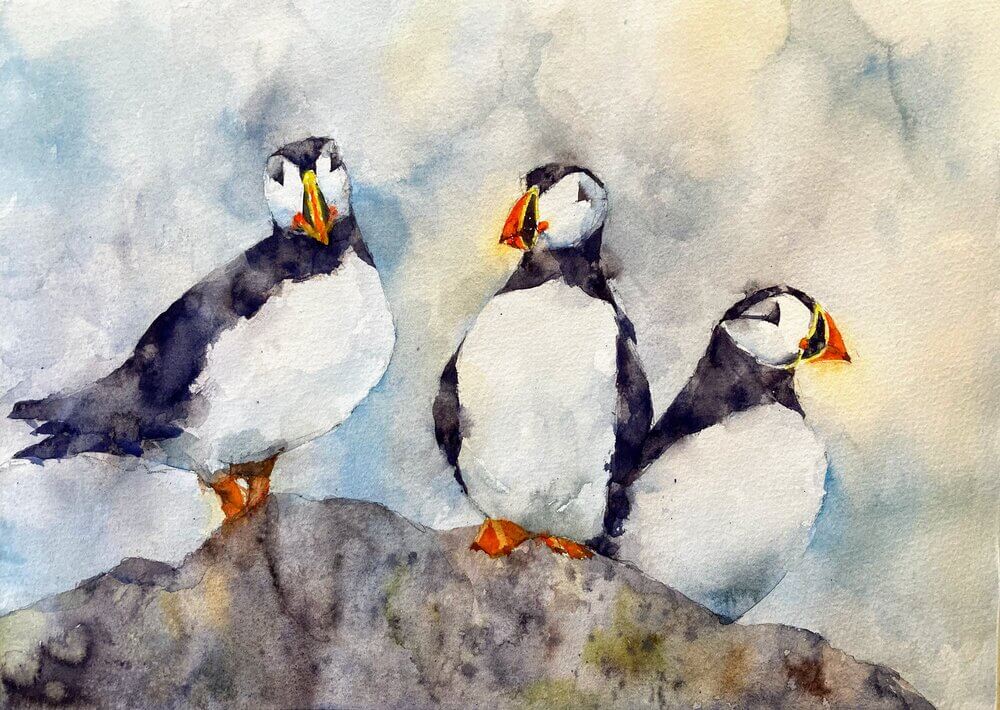 Oh the Puffins!  Puffin Watercolor Painting
