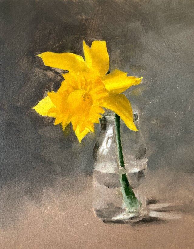 oil daffodil study by Michele Clamp