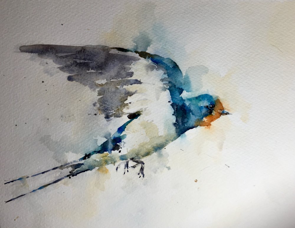 Barn swallow. Michele Clamp Watercolor 11”x14”