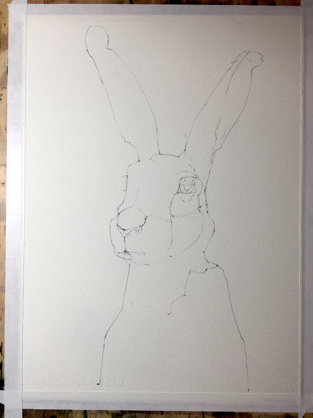 And here's the pencil drawing before going in with the paints.