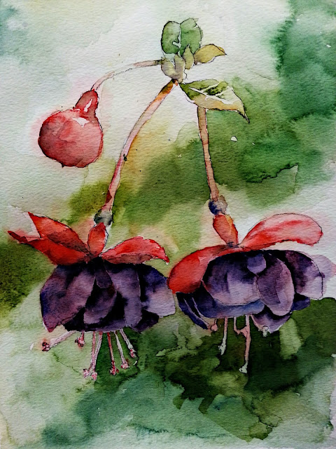 fuschia_watercolor.jpg