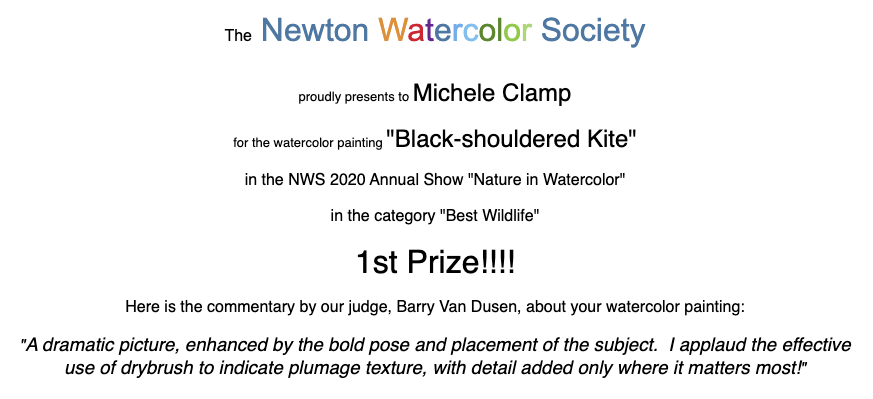 Newton_Watercolor_Society_First_Prize_2020