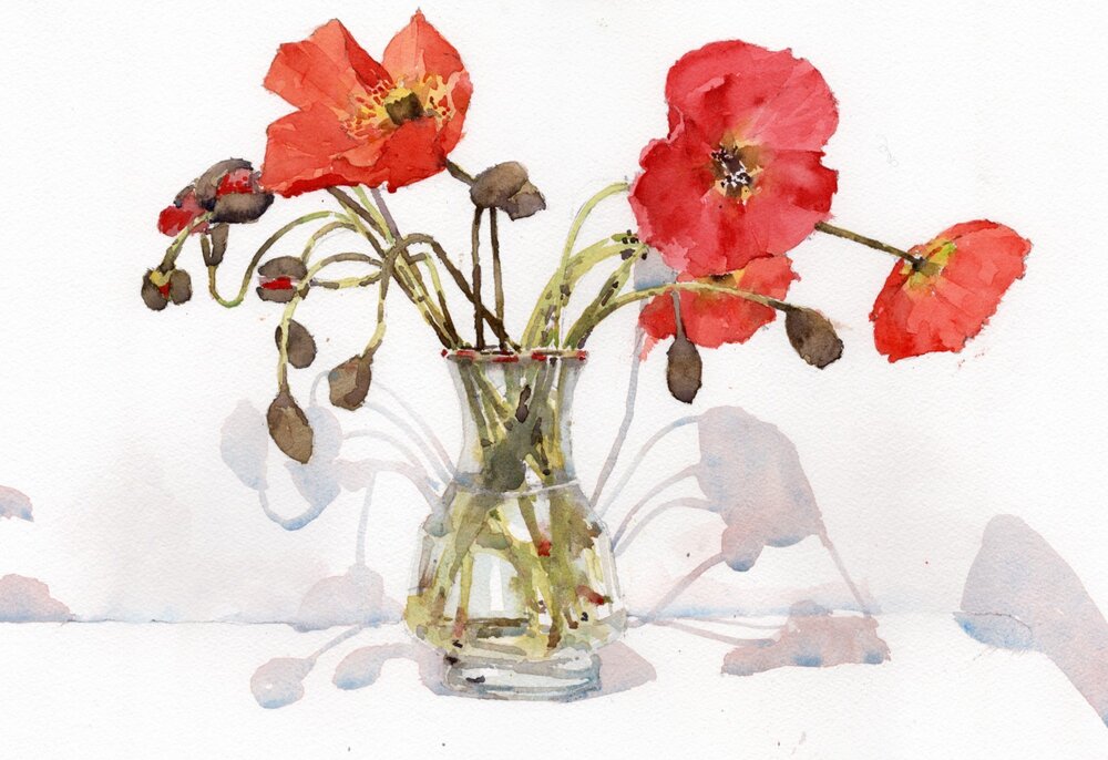 Poppies. Michele Clamp. Watercolor. 11”x14”. For Sale.
