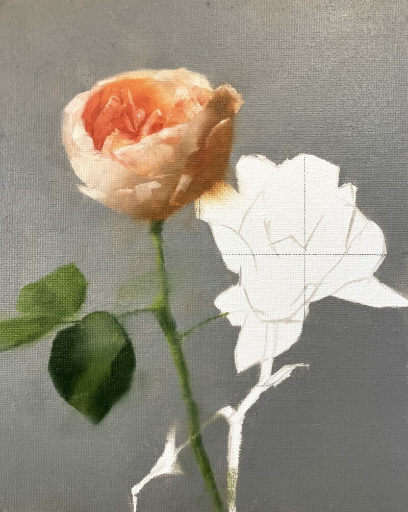 Peach Roses Paul Foxton Michele Clamp Art