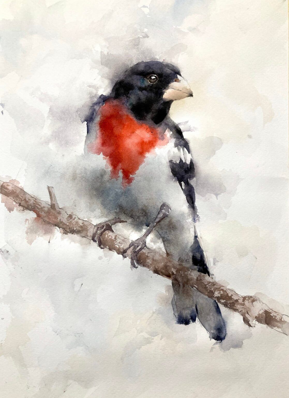 rose breasted grosbeak watercolor by Michele Clamp