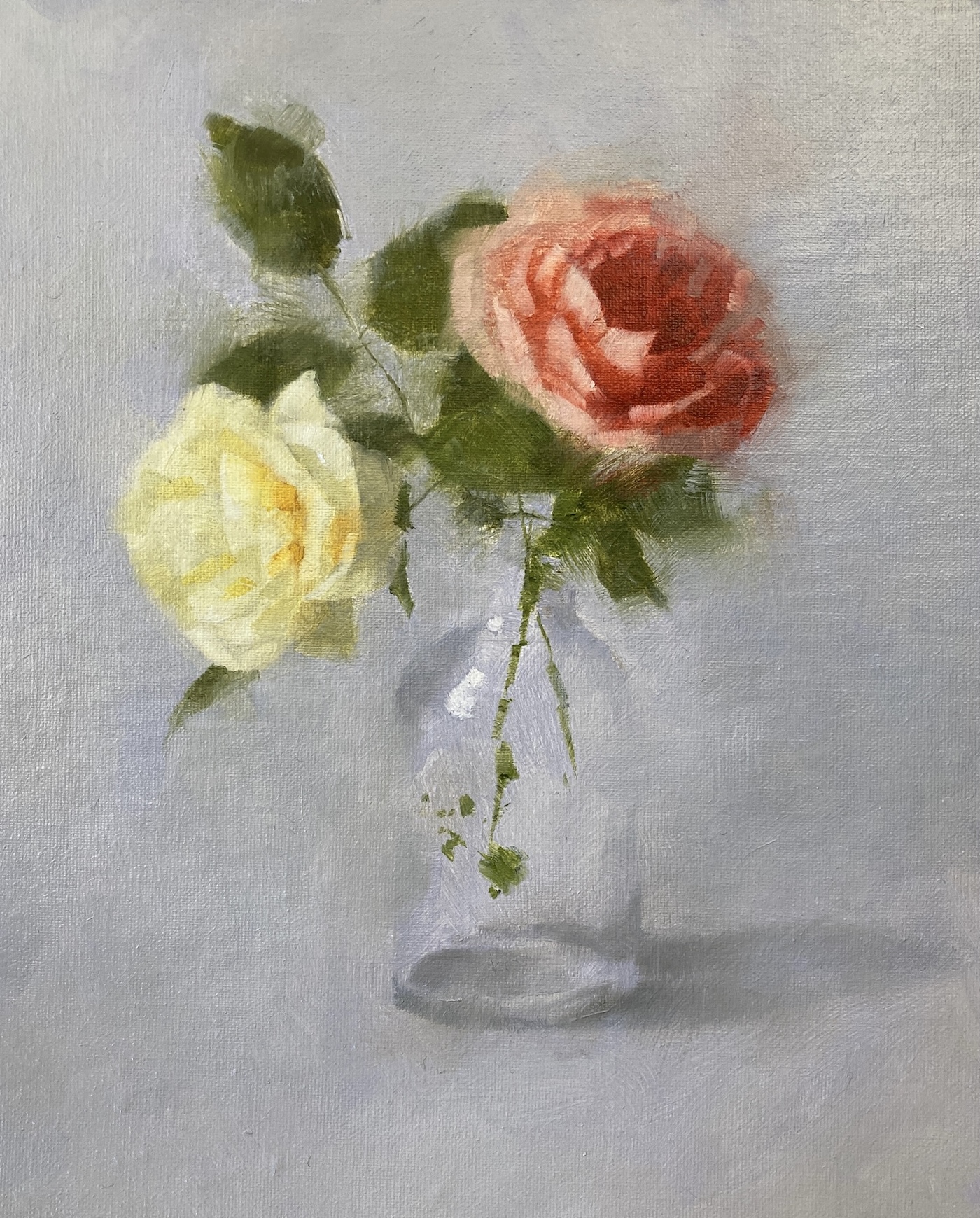 David Austin rose oil painting by Michele Clamp
