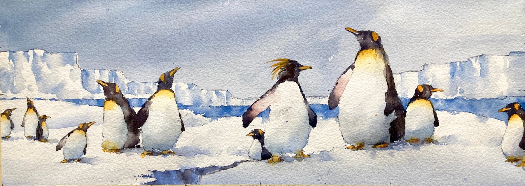 Panoramic Penguin Watercolor Painting – The Study