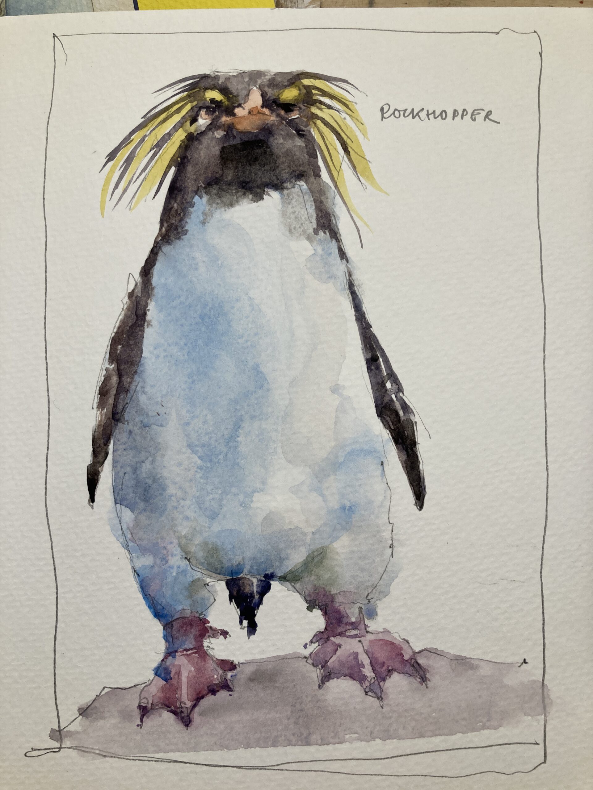 rockhopper penguin watercolor sketch