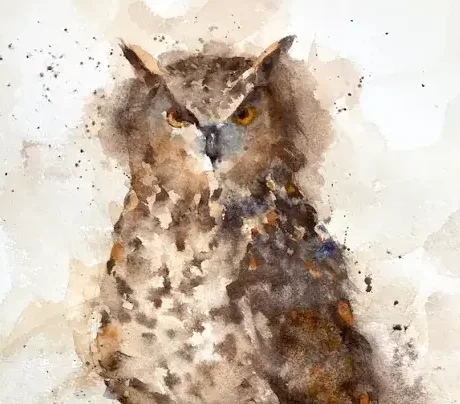 Horned owl watercolor by Michele Clamp