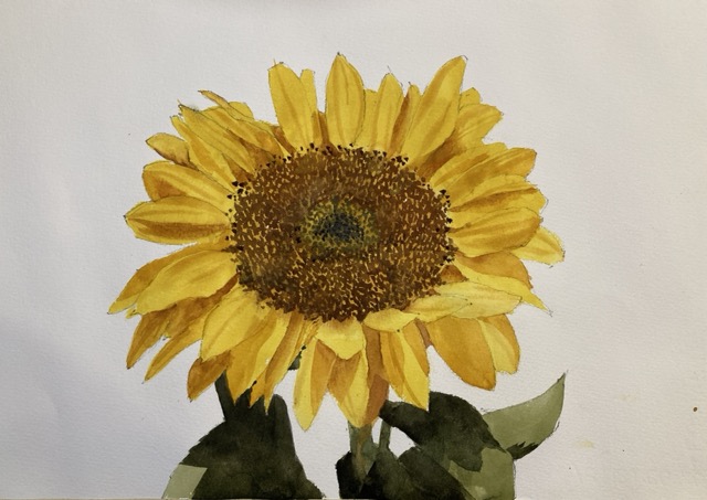 watercolor sunflower painting by Michele Clamp