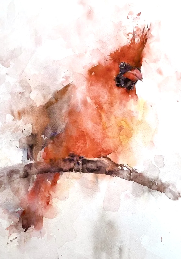 Loose watercolor cardinal by Michele Clamp