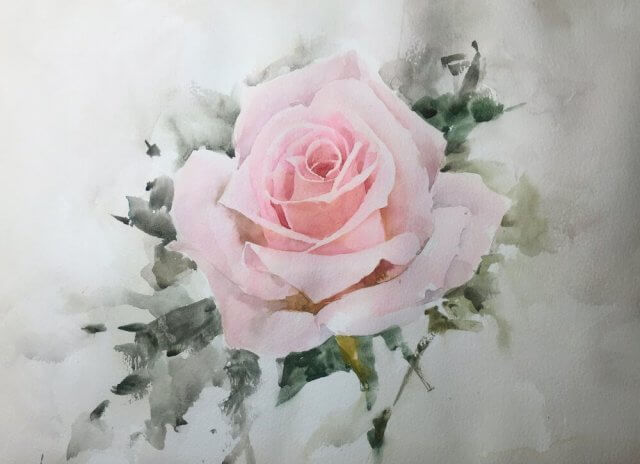 pink rose watercolor painting by Michele Clamp