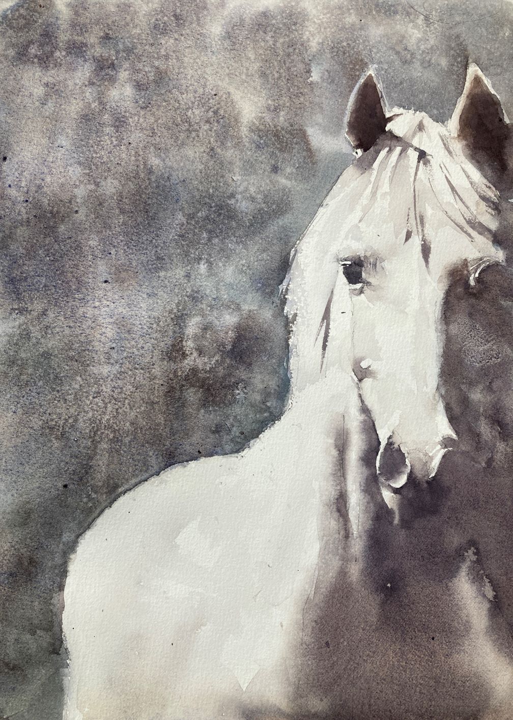 horse watercolor painting