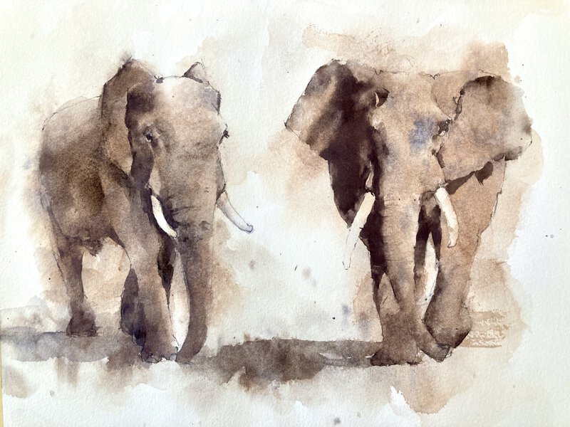 elephant watercolor painting by Michele Clamp
