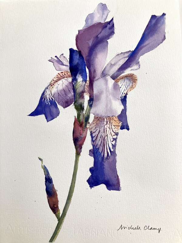 Iris with Bud Original Watercolor Painting