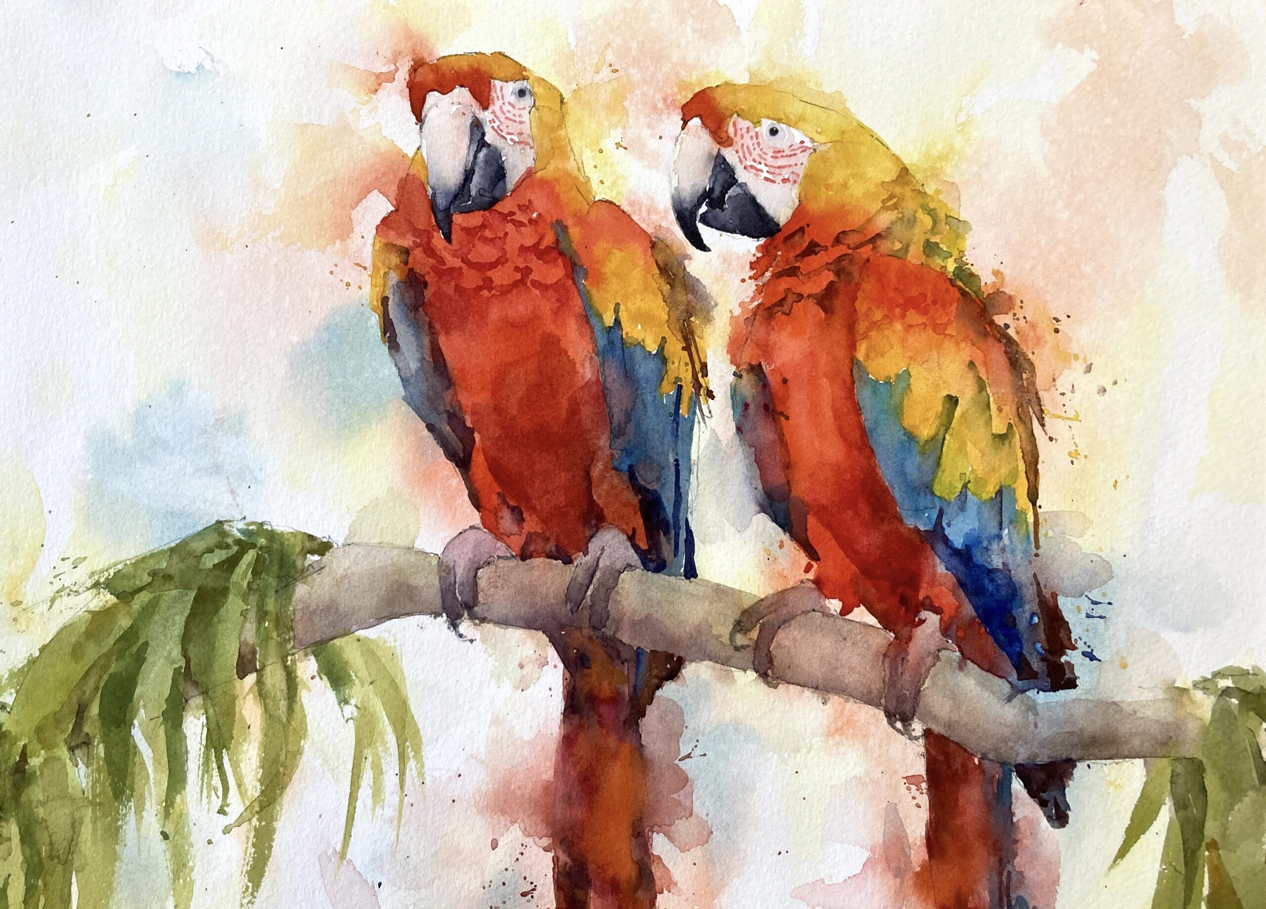 Bright Macaws Original Watercolor Painting