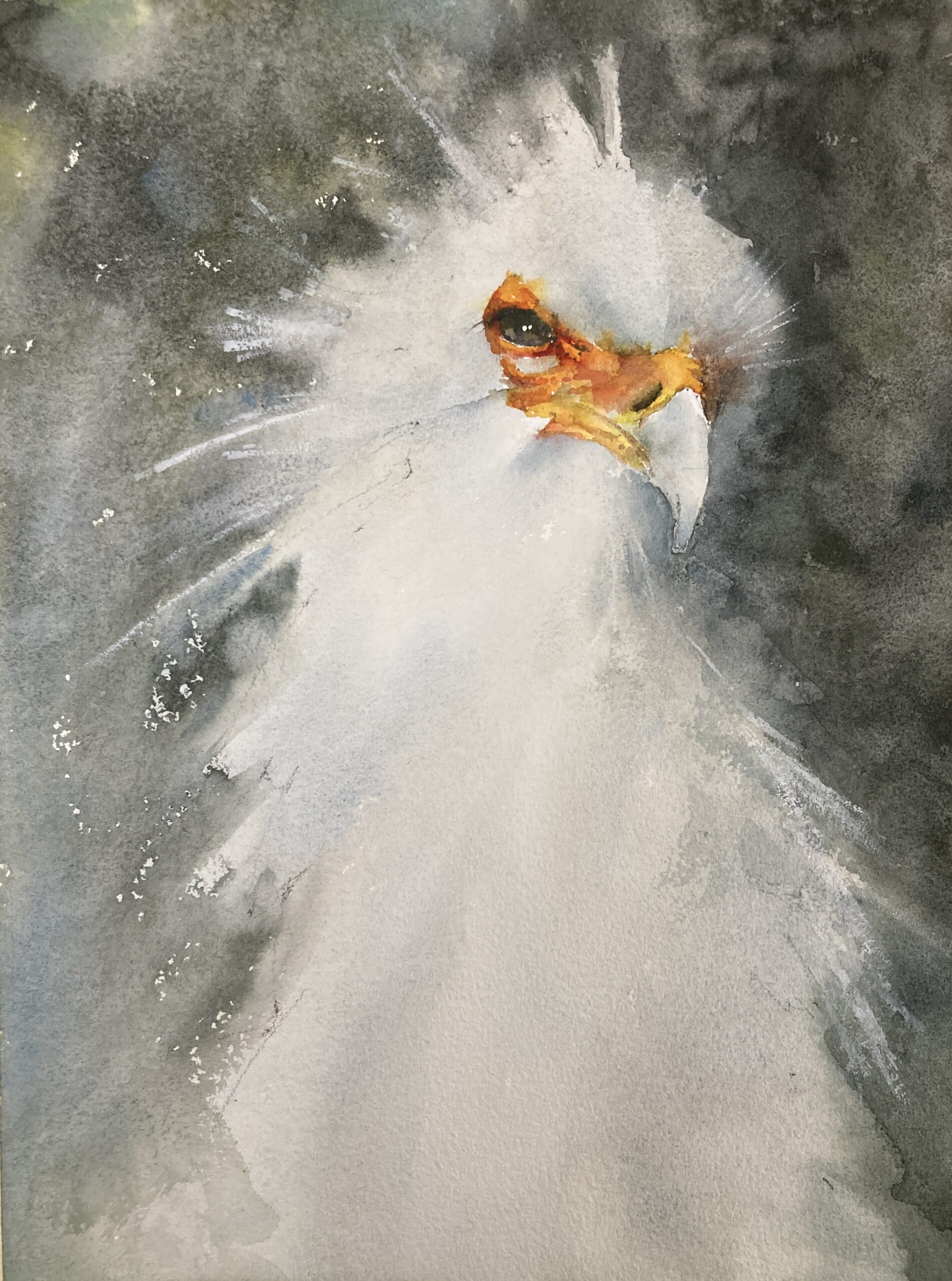 Secretary Bird Original Watercolor Painting