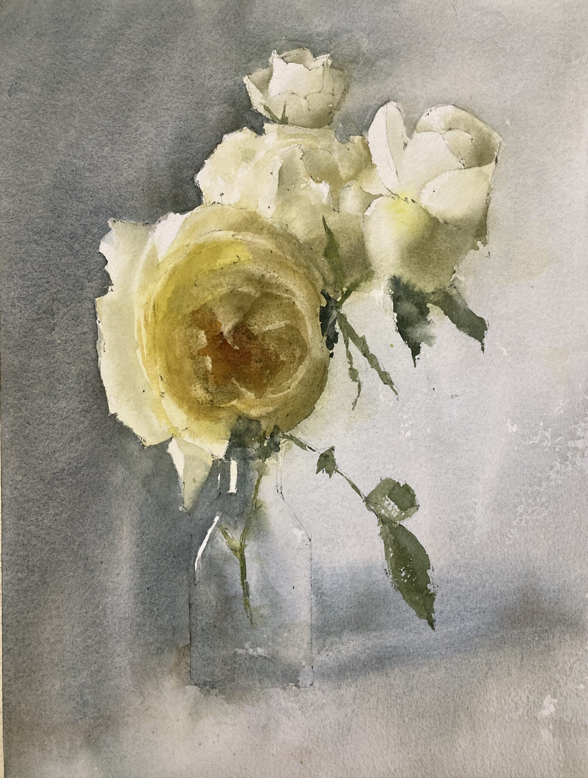 Yellow David Austin Roses Original Watercolor Painting