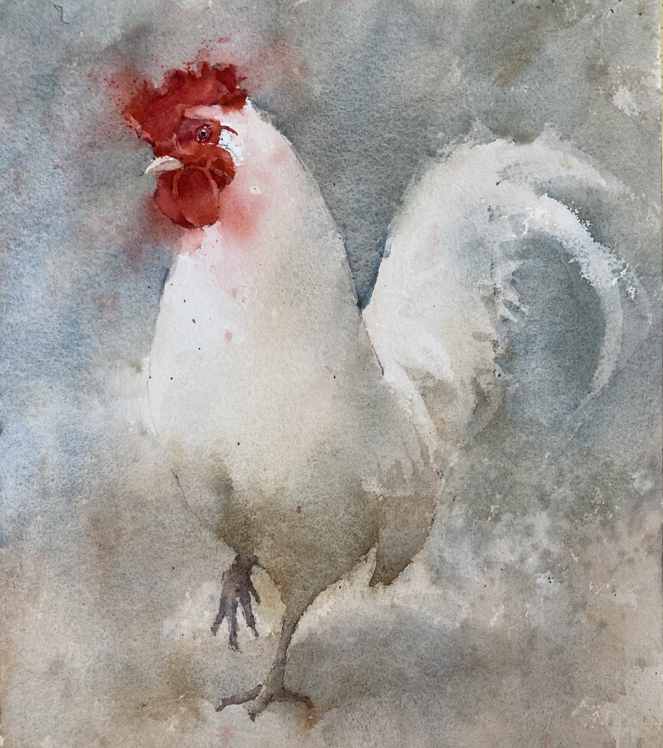 White Cockerel Original Watercolor Painting