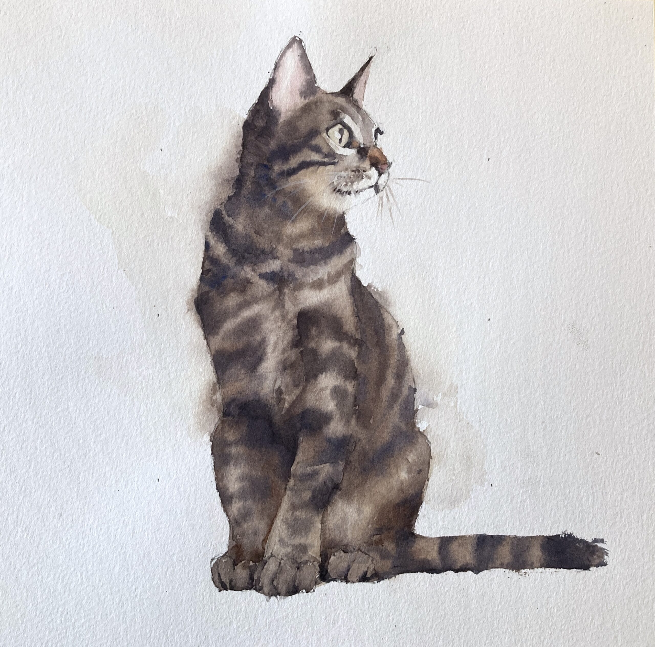 Cheeky Tabby Cat Original Watercolor Painting